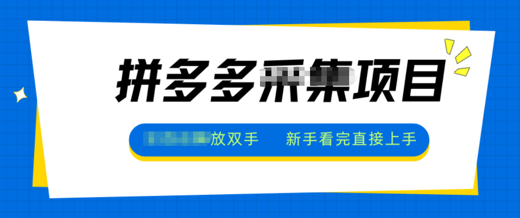 拼多多电商采集,一小时50+,操作简单,零投资插图 拼多多电商采集,一小时50+,操作简单,零投资