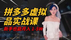 2025 拼多多虚拟品系统实战课，轻资产项目，可矩阵开工作室，新手也能…