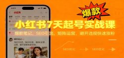 小红书7天起号实战课：爆款笔记，SEO引流，矩阵运营，避开违规快速涨粉