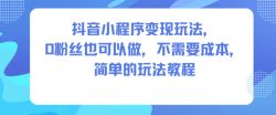 抖音小程序变现玩法，0粉丝也可以做，不需要成本，简单的玩法教程