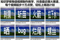 知识梦核物语视频制作教学，抖音最近爆火赛道，每个视频起步十万点赞，轻松上精选计划