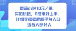 番茄小说10米每单，实拍玩法，0成本好上手，详细实操教程和平台入口适合大部分人