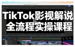 TikTok影视解说全流程实操，手把手教你打造TK爆款解说视频