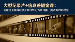 大型纪录片+信息差掘金课：利用信息差将纪录片素材转化为高传播、高收益的短视频