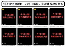 抖音IP运营项目，抖音今日主题玩法，起号门槛低，实现账号稳定增长