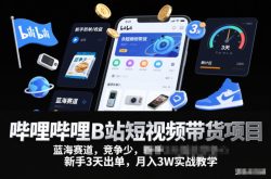 哔哩哔哩B站短视频带货项目，蓝海赛道，竞争少，新手3天出单，月入3W实战教学