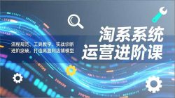 淘系系统运营进阶课2.0，流程规范、工具教学、实战诊断，进阶突破，打造高盈利店铺模型