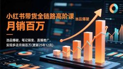 小红书带货全链路高阶课，选品爆破、笔记裂变、直播推广，实现多店月销百万(更新25年12月