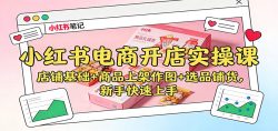 小红书电商开店实操课：店铺基础+商品上架作图+选品铺货，新手快速上手