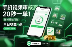 手机视频审核真香！20秒一单，随时随地可做，单日收益4张，小白零门槛冲【揭秘】