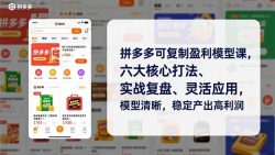 拼多多可复制盈利模型课，六大核心打法、实战复盘、灵活应用，模型清晰，稳定产出高利润