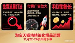 淘宝天猫精细化爆品运营11月22-24杭州线下课，免费流量打法+付费广告放大+利润增长(音频+文档)