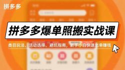 拼多多爆单照搬实战课，类目玩法、活动选择、避坑指南，新手小白快速出单赚钱