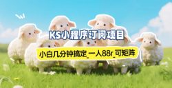小程序订阅项目_小白几分钟搞定，一人88米，可矩阵(已测到账)