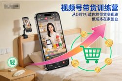 视频号带货训练营，从0到1打造你的带货变现路，低成本在家创业