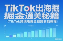 TikTok出海掘金通关秘籍，TikTok跨境电商全链路实战教程