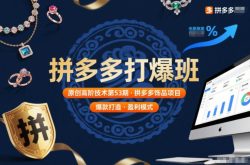 拼多多打爆班原创高阶技术第53期，拼多多饰品项目