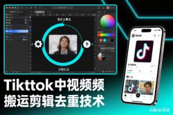 Tiktok中视频纯搬运剪辑去重技术，外来技术，自行测试