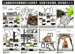 卤蛋哈基米短视频制作全流程教学，条条爆款，疯狂吸粉几十万