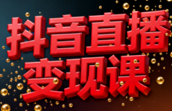 逍遥老师·抖音直播变现课