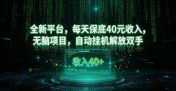 全新平台，每天保底40米收入，无脑项目，自动挂G解放双手【揭秘】