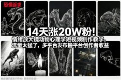 14天涨20W粉！情绪放大镜动物心理学短视频制作教学，流量太猛了，多平台发布撸平台创作者收益