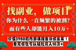 价值3980的网创内部课程，告诉你互联网创业月入10个W的秘密【揭秘】