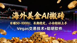 【海外美金AI搬砖】Vegas交易技术+聪明软件，日赚50-1000U，长期稳定，小白轻松上手。