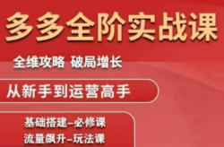 大炮·拼多多全阶实战课程(更新2026)