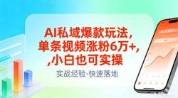 AI私域爆款玩法，单条视频涨粉6W+，小白也可实操