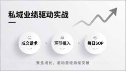 私域业绩驱动实战，成交话术、环节植入、每日SOP，聚焦增长，驱动营收持续突破