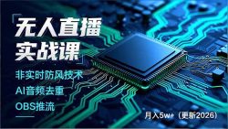 无人直播实战课，非实时防风技术、AI音频去重、OBS推流，建立技术壁垒，月入5w+(更新2026