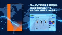 Shopify爆款打法实战：从选品到广告投放，复制爆款模型，驱动独立站月销售额破万刀