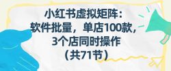 小红书虚拟矩阵：软件批量发笔记，单店100款，3个店同时操作(共71节)