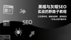 黑帽与灰帽SEO实战的野路子教程：泛目录秒收，蜘蛛池搭桥，霸屏截流，7天抢占首页暴利词