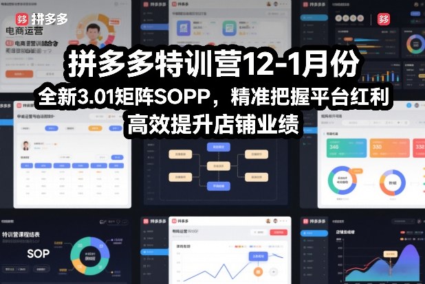 拼多多特训营12-1月份,全新3.01矩阵Sop,精准把握平台红利,高效提升店铺业绩插图 拼多多特训营12-1月份,全新3.01矩阵Sop,精准把握平台红利,高效提升店铺业绩