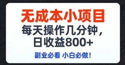 无成本小项目,每天操作几分钟,日收益800+ 副业必看 小白必做！