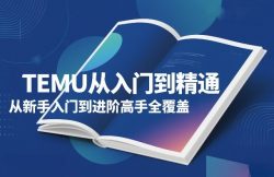 TEMU从入门到精通，从新手入门到进阶高手全覆盖