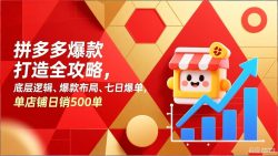拼多多爆款打造全攻略，底层逻辑、爆款布局、七日爆单，单店铺日销500单