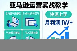 亚马逊运营实战教学，亚马逊平台+Listing优化+Vine秒杀+FBA发货等，快速上手，实现店铺月利润1W