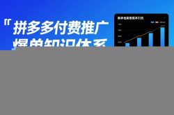 拼多多付费推广爆单知识体系，新手也能低成本引流，快速爆单，单店铺日销500单