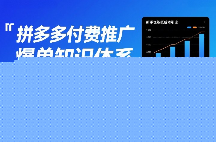 拼多多付费推广爆单知识体系，新手也能低成本引流，快速爆单，单店铺日销500单