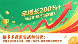拼多多商家实战特训营：店铺业绩全年无淡季，年增长200%+单店年利润突破百万(26年更新