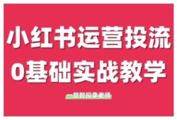 小红书运营投流，小红书广告投放从0到1的实战课，学完即可开始投放(更新26年)