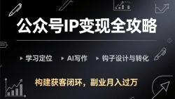 公众号IP变现全攻略-更新，学习定位、AI写作、钩子设计与转化，构建获客闭环，副业月入过万