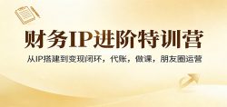 财务IP进阶特训营：从IP搭建到变现闭环，代账，做课，朋友圈运营