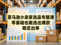 亚马逊小卖家选品专题课，零基础也能选出爆款，稳定出单