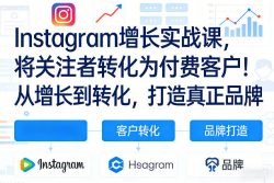 Instagram增长实战课，将关注者转化为付费客户！从增长到转化，打造真正品牌(双语字幕)