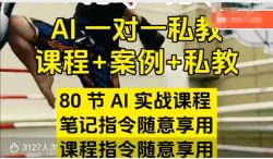 AI指令实战课，课程+案例，80节AI实战课程，笔记指令随意享用，课程指令随意享用(更新26年3月)