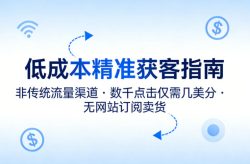 低成本精准获客指南，用非传统流量渠道，实现数千点击仅需几美分，不用网站也能搞订阅卖货